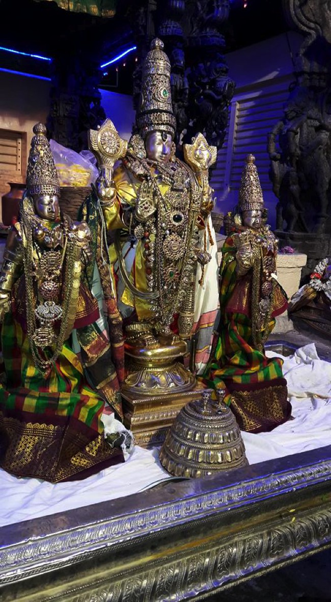 Thiruvallur-Sri-Veeraraghava-Perumal_04