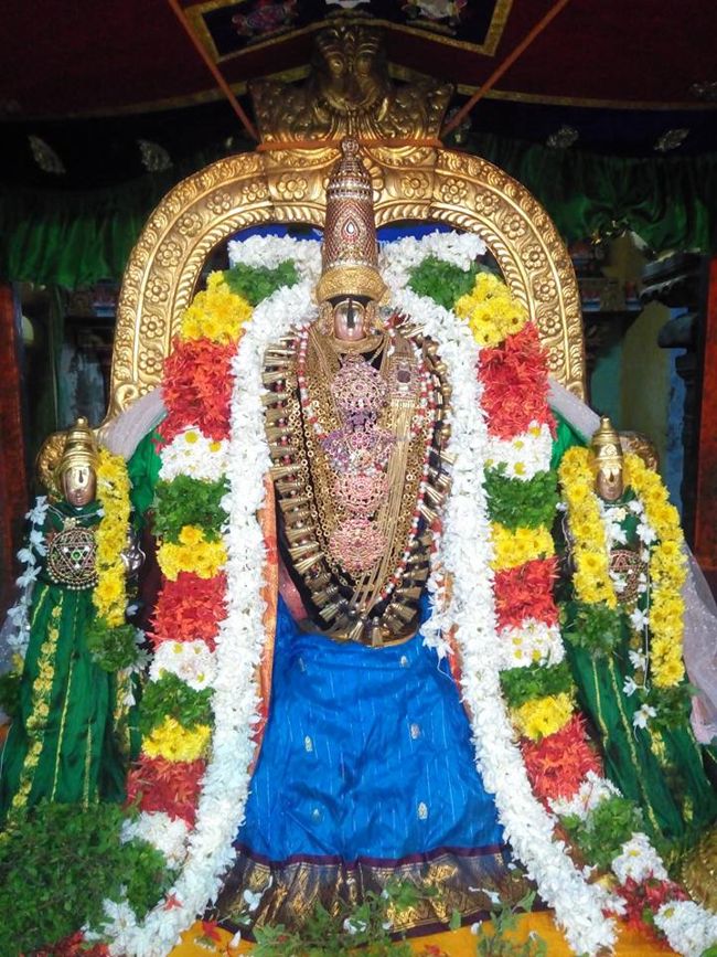 Vanamamalai-Sri-Deivanayaga-Perumal7