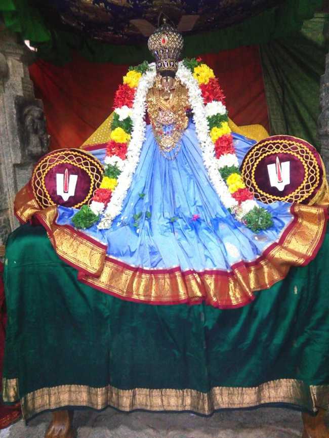 Vanamamalai-Sri-Deivanayaga-Perumal_20
