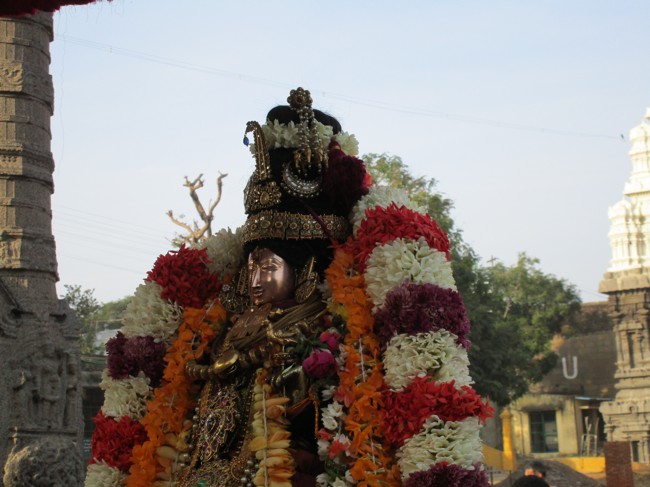 Kanchi-Sri-Devarajaswami_12