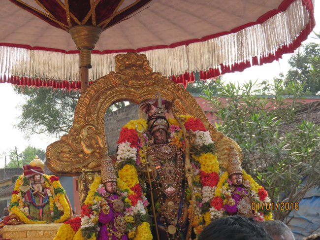 Kanchipuram-Sri-Devarajaswamy_21