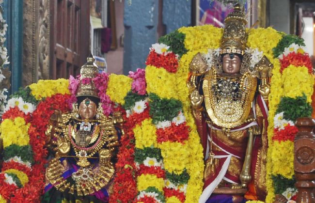 Karappangadu-Abhishta-Varadaraja-Perumal-temple-Dolotsavam-2015-10
