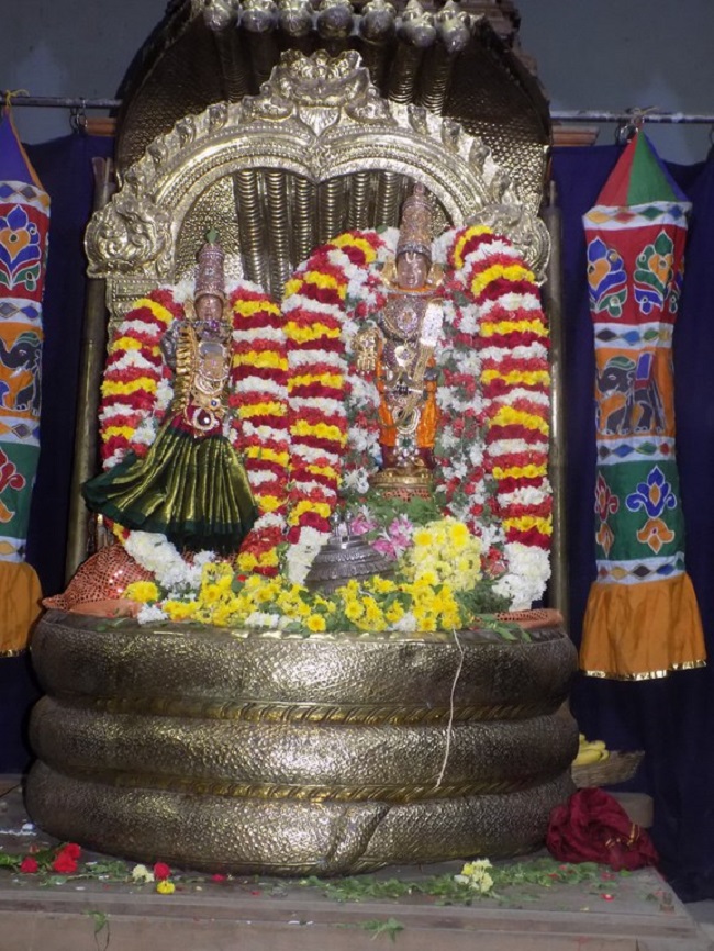 Madipakkam Sri Oppilliappan Pattabhisheka Ramar Temple Manmadha Varusha Irappathu Utsavam11