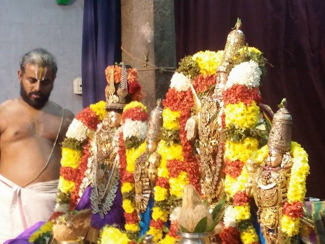 Mylapore SVDD Srinivasa Perumal Temple Manmadha Varusha Bhogi Sri Andal Thirukalyana Utsavam16
