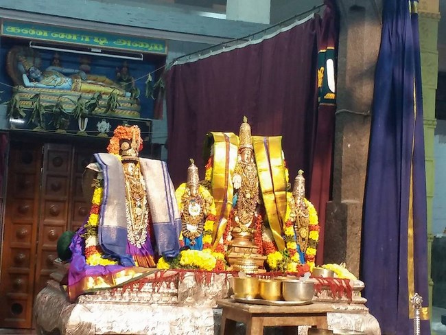 Mylapore SVDD Srinivasa Perumal Temple Manmadha Varusha Bhogi Sri Andal Thirukalyana Utsavam18