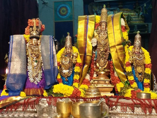 Mylapore SVDD Srinivasa Perumal Temple Manmadha Varusha Bhogi Sri Andal Thirukalyana Utsavam19