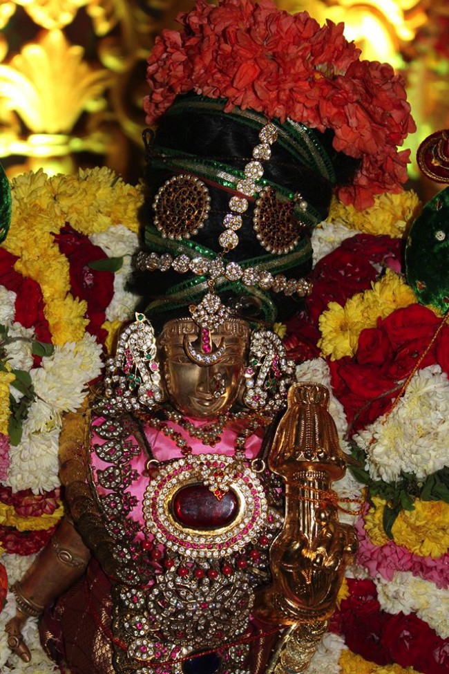 Pondicherry-Sri-Srinivasa-Perumal_05