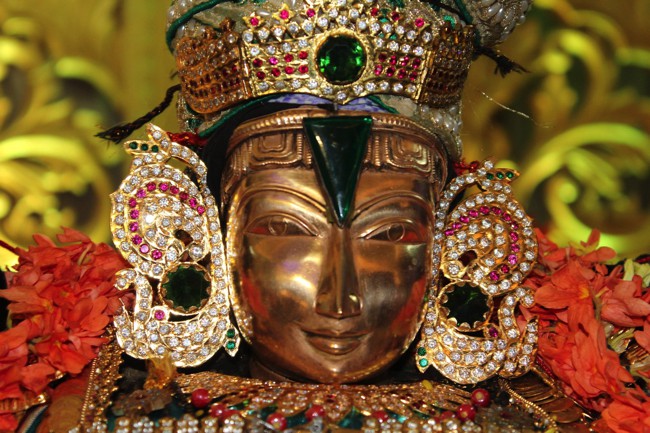 Pondicherry-Sri-Srinivasa-Perumal_12
