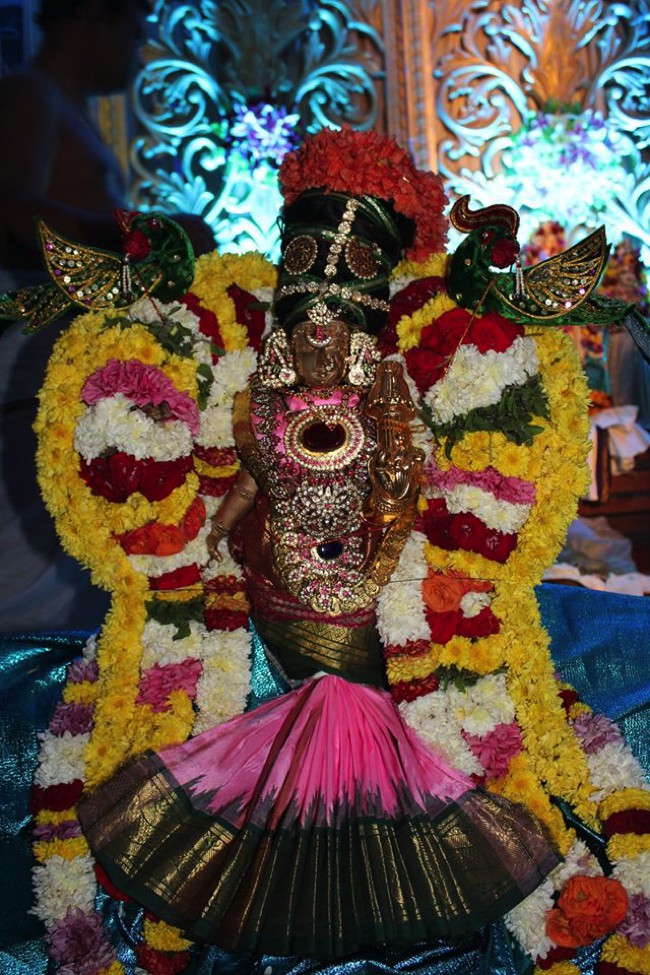 Pondicherry-Sri-Srinivasa-Perumal_15
