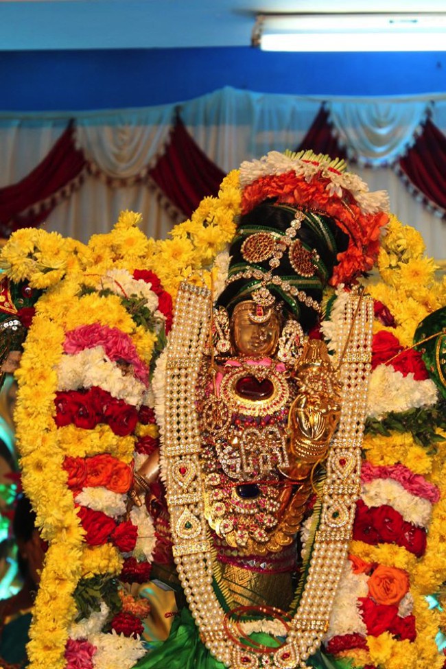 Pondicherry-Sri-Srinivasa-Perumal_16