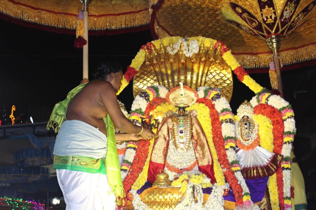 Pondicherry-Sri-Varadaraja-Perumal_01