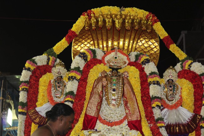Pondicherry-Sri-Varadaraja-Perumal_03