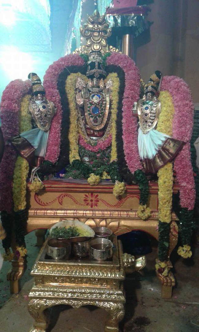 Pondicherry-Sri-Varadaraja-Perumal_04