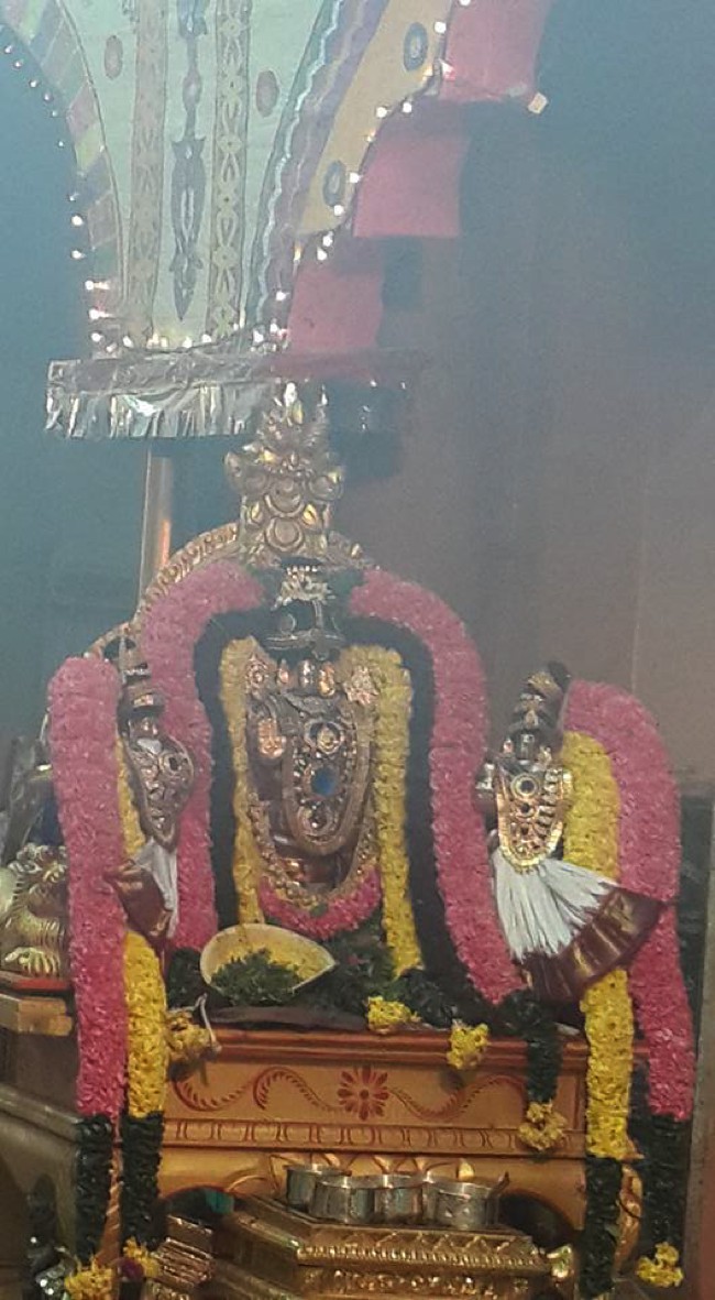 Pondicherry-Sri-Varadaraja-Perumal_05