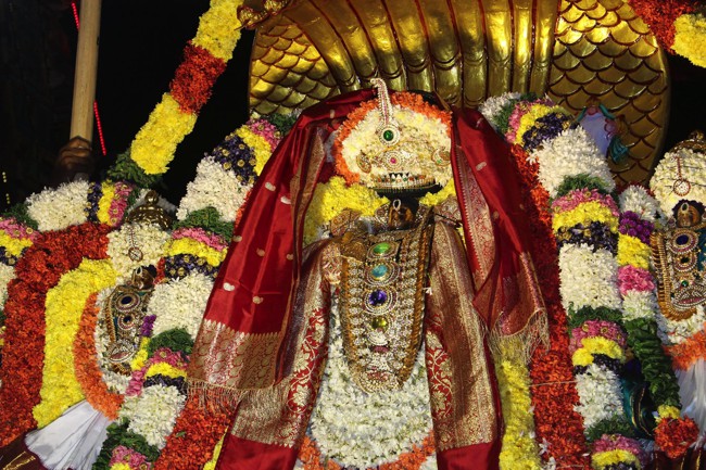 Pondicherry-Sri-Varadaraja-Perumal_06