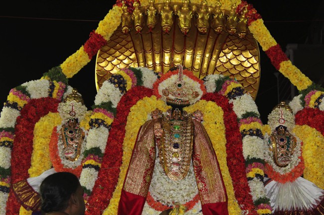 Pondicherry-Sri-Varadaraja-Perumal_07