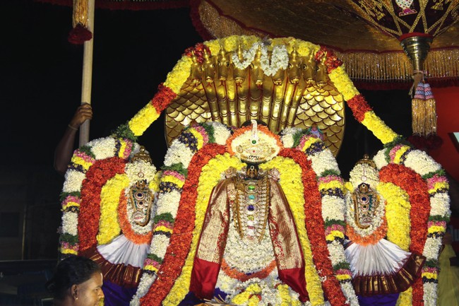 Pondicherry-Sri-Varadaraja-Perumal_11