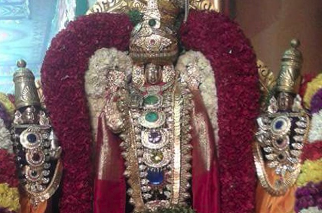 Pondicherry-Sri-Varadaraja-Perumal_14
