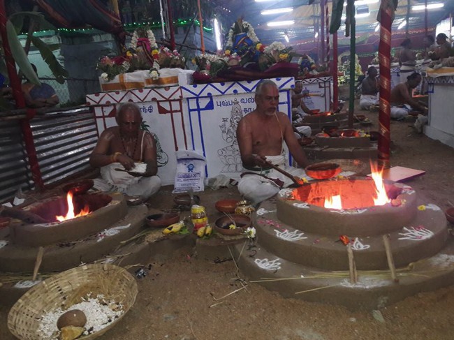 Poovirundavalli-Sri-Varadharaja-Perumal-Thirukachi-Nambigal_04