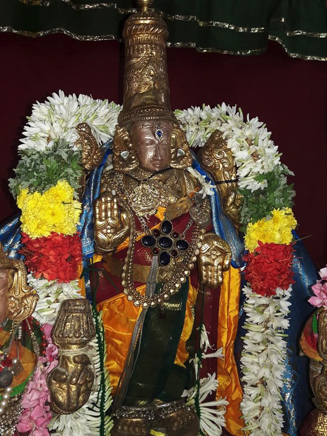 Poovirundavalli-Sri-Varadharaja-Perumal-Thirukachi-Nambigal_06