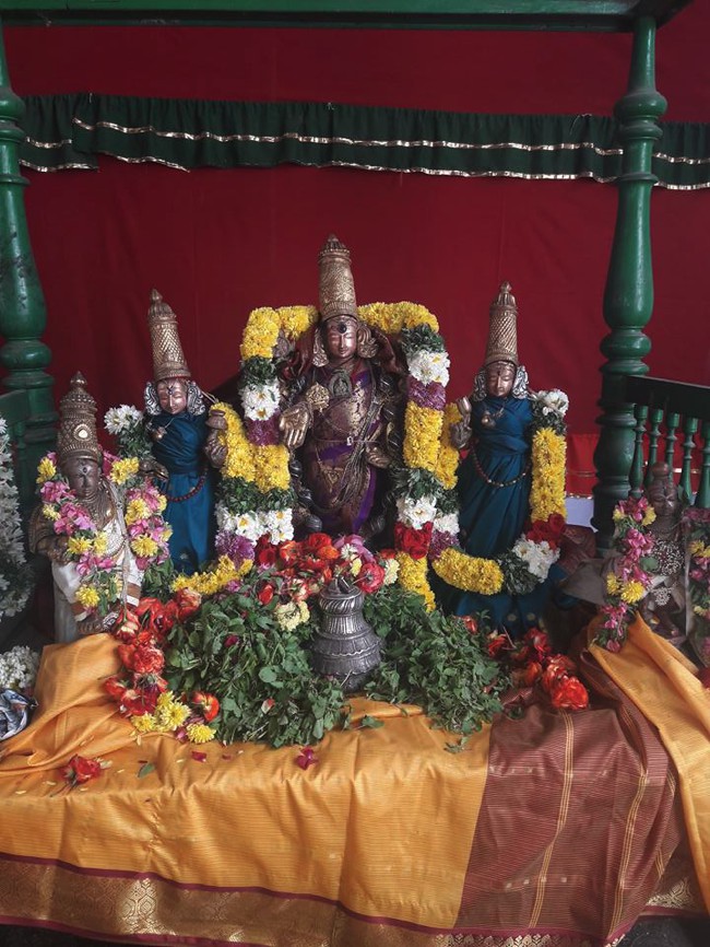 Poovirundavalli-Sri-Varadharaja-Perumal-Thirukachi-Nambigal_06