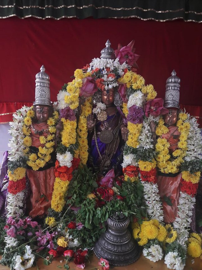 Poovirundavalli-Sri-Varadharaja-Perumal-Thirukachi-Nambigal_07