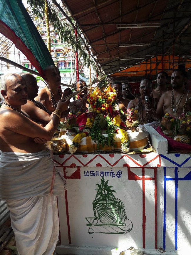 Poovirundavalli-Sri-Varadharaja-Perumal-Thirukachi-Nambigal_08