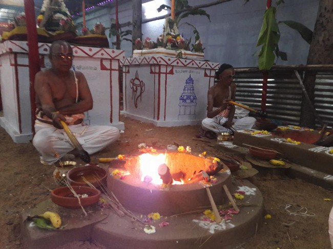 Poovirundavalli-Sri-Varadharaja-Perumal-Thirukachi-Nambigal_09