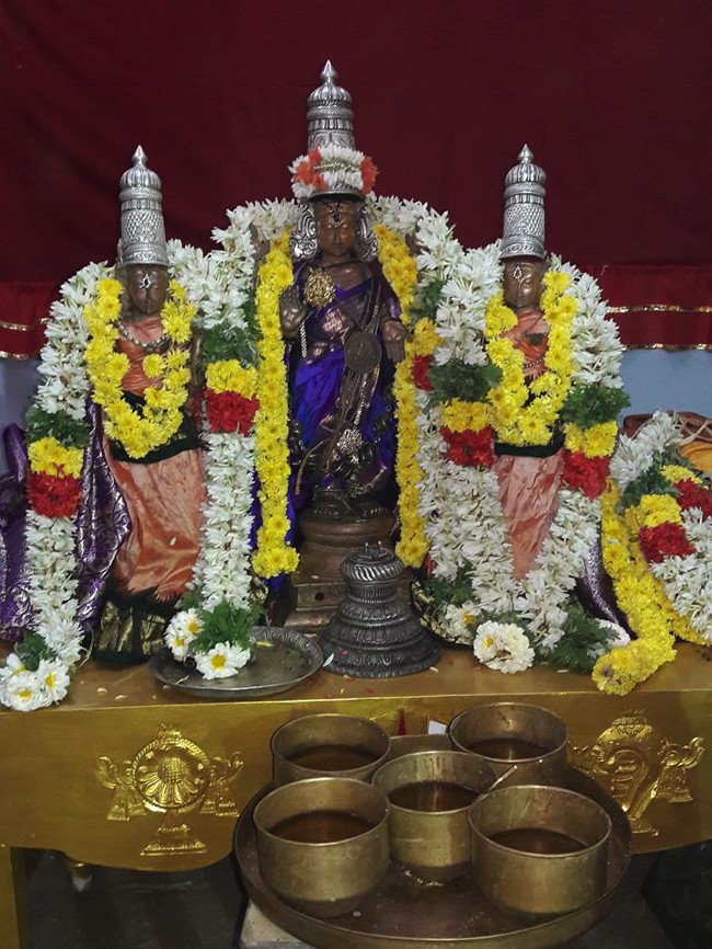 Poovirundavalli-Sri-Varadharaja-Perumal-Thirukachi-Nambigal_11
