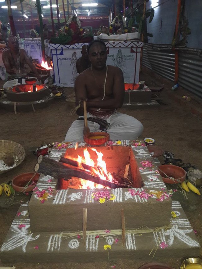 Poovirundavalli-Sri-Varadharaja-Perumal-Thirukachi-Nambigal_12