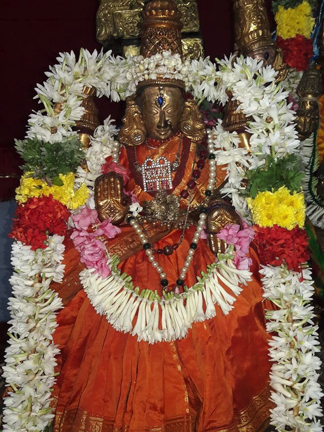 Poovirundavalli-Sri-Varadharaja-Perumal-Thirukachi-Nambigal_13