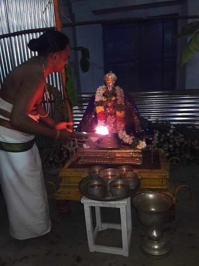 Poovirundavalli-Sri-Varadharaja-Perumal-Thirukachi-Nambigal_15