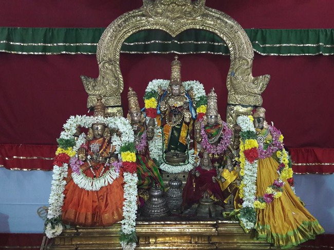 Poovirundavalli-Sri-Varadharaja-Perumal-Thirukachi-Nambigal_16