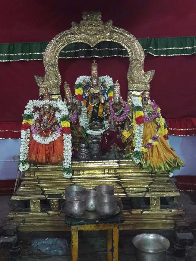 Poovirundavalli-Sri-Varadharaja-Perumal-Thirukachi-Nambigal_17