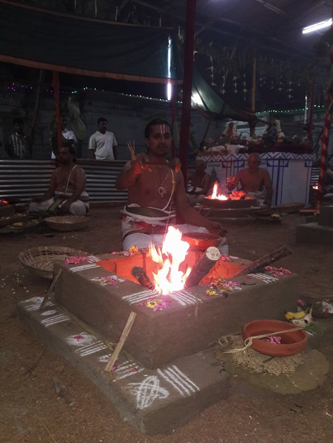 Poovirundavalli-Sri-Varadharaja-Perumal-Thirukachi-Nambigal_18