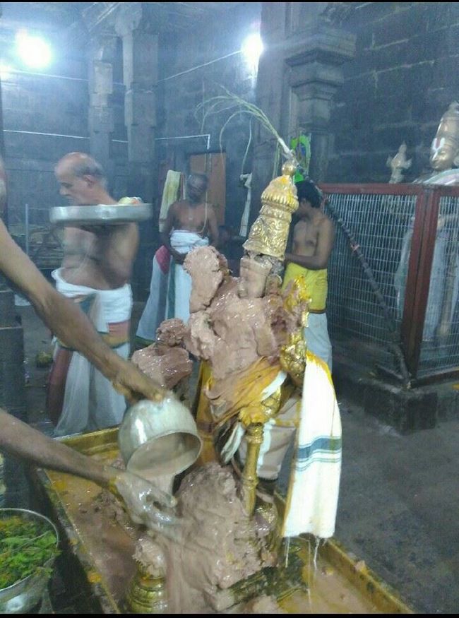 Sri Mushanam Bhuvarahaswamy temple Kanu utsavam - 2016-3.jpg