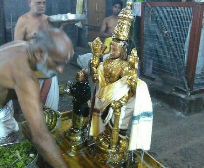 Sri Mushanam Bhuvarahaswamy temple Kanu utsavam - 2016-6.jpg