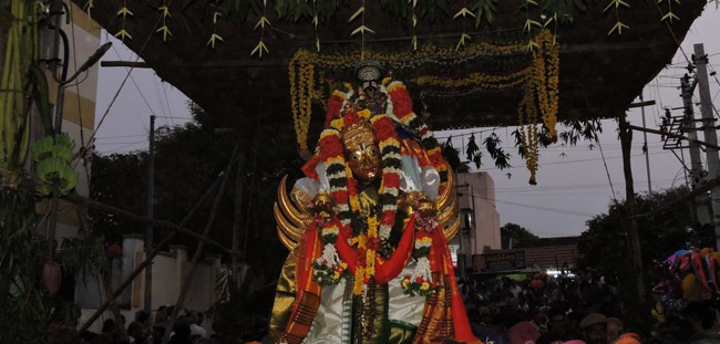 Srirangam-Sri-Ranganathaswamy_17