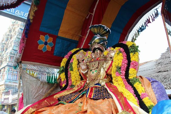 Thirucherai Sri Saranatha Perumal temple thai brahmotsavam day 1 indira vimanam- 2016-2.jpg