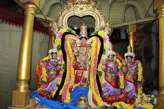 Thirucherai Sri Saranatha Perumal temple thai brahmotsavam day 1 indira vimanam- 2016-3.jpg