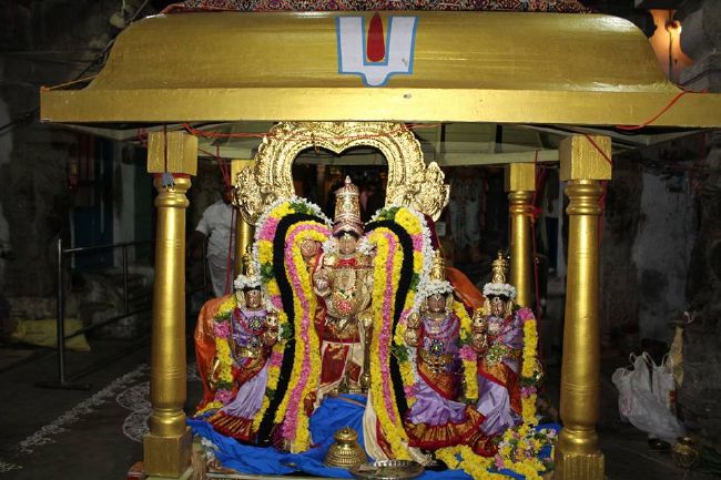 Thirucherai Sri Saranatha Perumal temple thai brahmotsavam day 1 indira vimanam- 2016-7.jpg