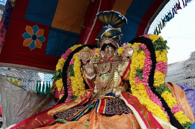 Thirucherai Sri Saranatha Perumal temple thai brahmotsavam day 1 indira vimanam- 2016-8.jpg
