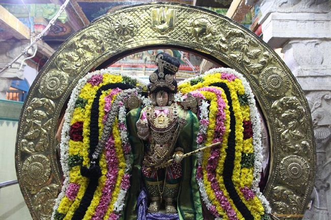 Thirucherai Sri Saranatha Perumal temple thai brahmotsavam day 2 surya prabhai 2016-3.jpg