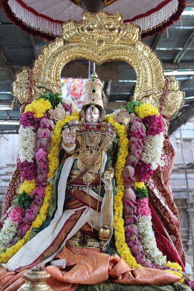 Thirucherai Sri Saranatha Perumal temple thai brahmotsavam dvajarohanam- 2016-01.jpg
