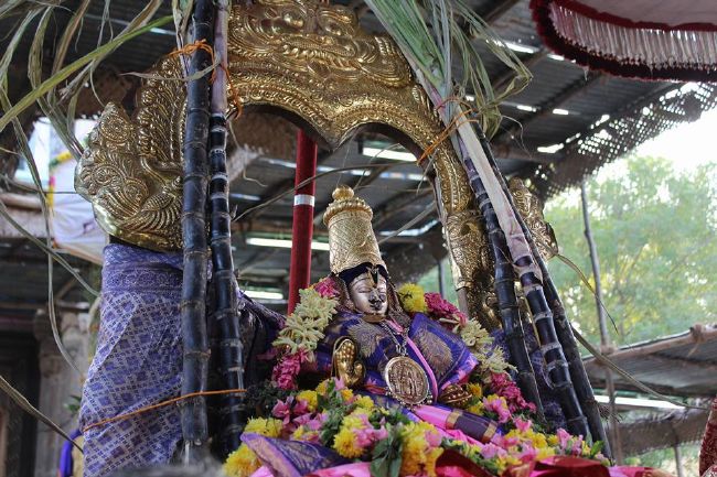 Thirucherai Sri Saranatha Perumal temple thai brahmotsavam dvajarohanam- 2016-04.jpg
