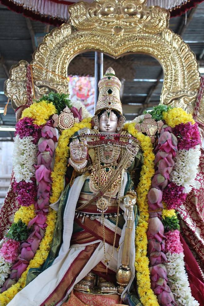 Thirucherai Sri Saranatha Perumal temple thai brahmotsavam dvajarohanam- 2016-05.jpg