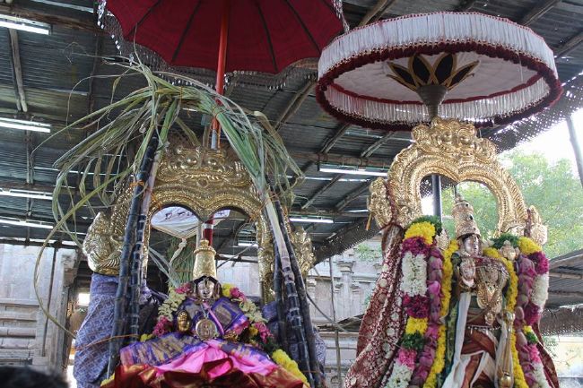 Thirucherai Sri Saranatha Perumal temple thai brahmotsavam dvajarohanam- 2016-09.jpg