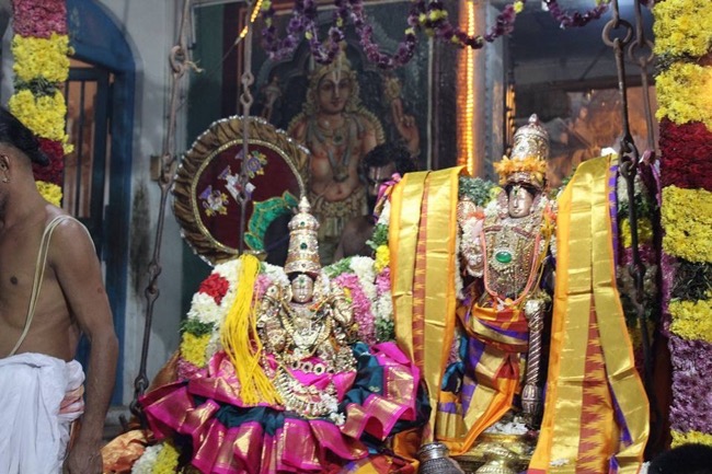 Thirucherai-Sri-Saranatha-Perumal12