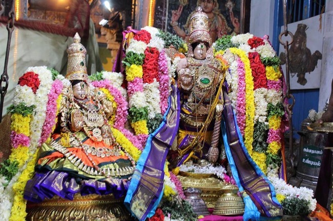 Thirucherai-Sri-Saranatha-Perumal13