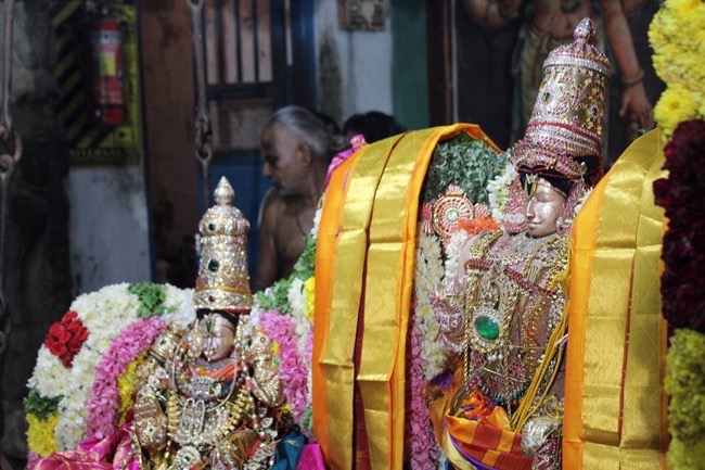 Thirucherai-Sri-Saranatha-Perumal15